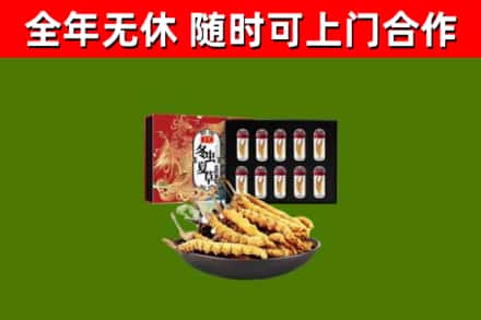 共青城市回收冬虫夏草价格
